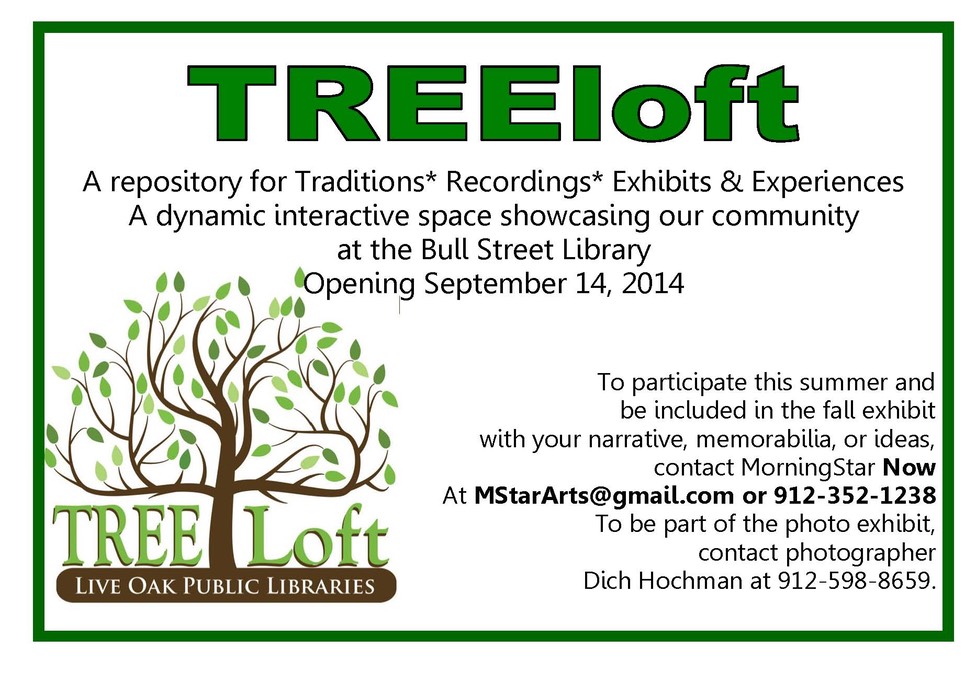 TreeLoft Summer